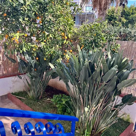 Del Limone , Mondello Via Deucalione 18 ,via Miseno 18 * Palermo