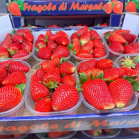Del Limone , Mondello Via Deucalione 18 ,via Miseno 18 빌라 팔레르모